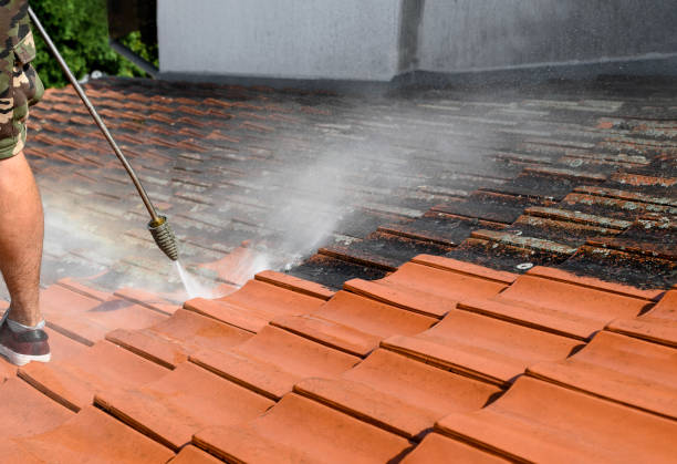 Best Sidewalk Pressure Washing  in Seward, NE